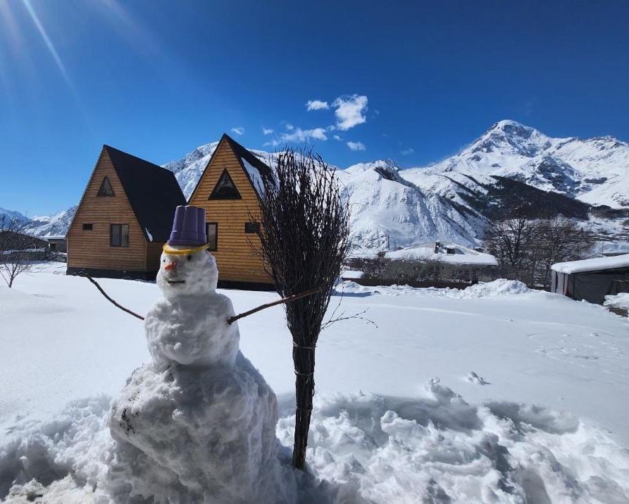 Willa Via Kazbegi Zewnętrze zdjęcie